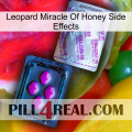 Leopard Miracle Of Honey Side Effects 37